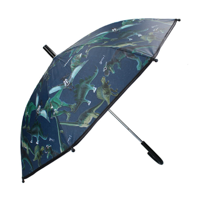 Dječji kišobran DINOSAUR, Don't worry about rain